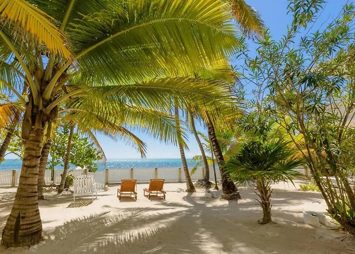Babylon * San Pedro (Ambergris Caye)